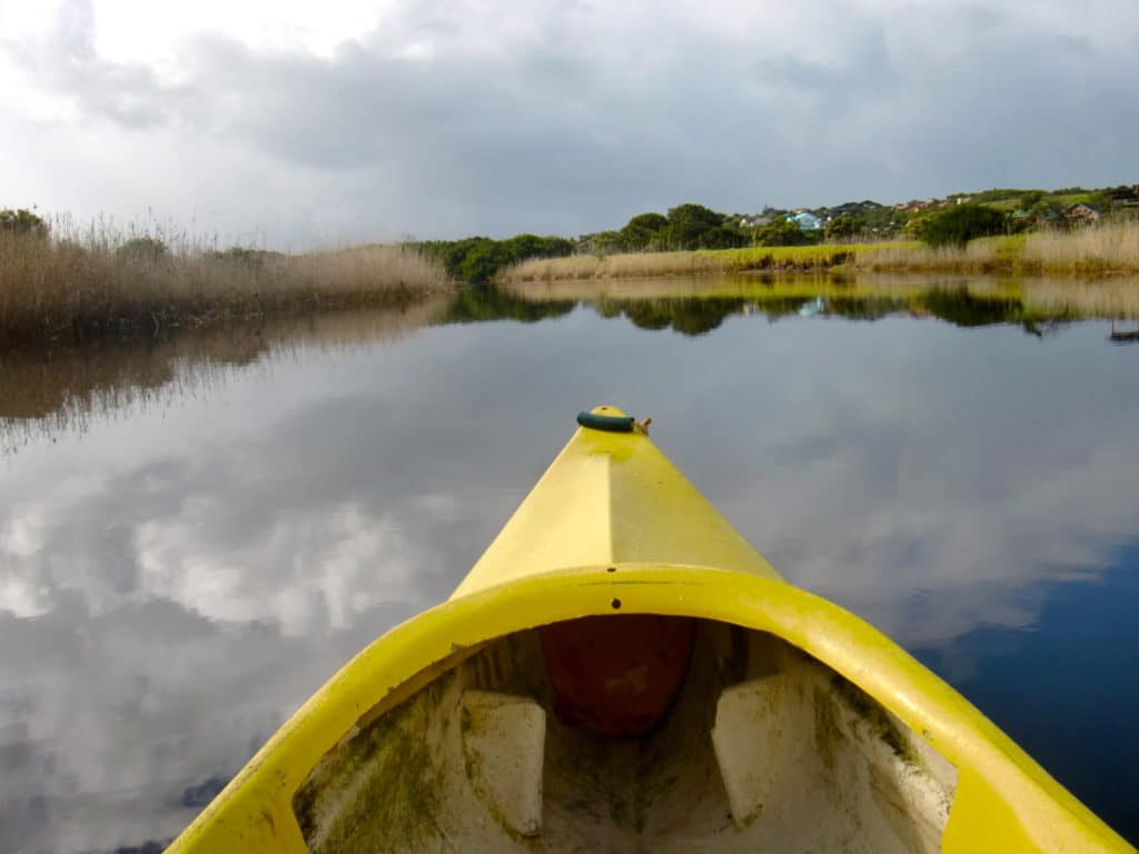 Il percorso migliore per visitare il Sudafrica in viaggio: kayak in natura selvaggia sulla strada del giardino