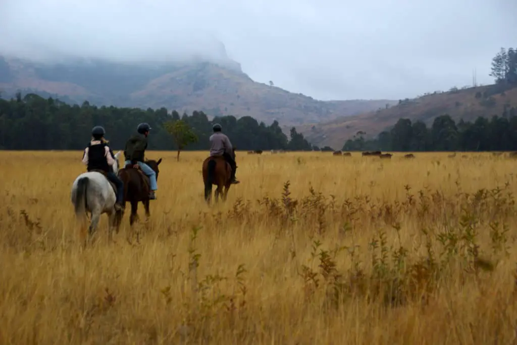 The best route to visit South Africa on a road trip: horse safari at Mlilwane wildlife sanctuary in Swaziland
