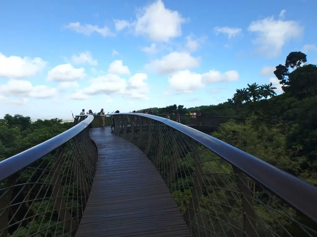 The suspension bridge at the Kirstenbosch National Botanical Garden is one of the must-see excursions from Cape Town to South Africa