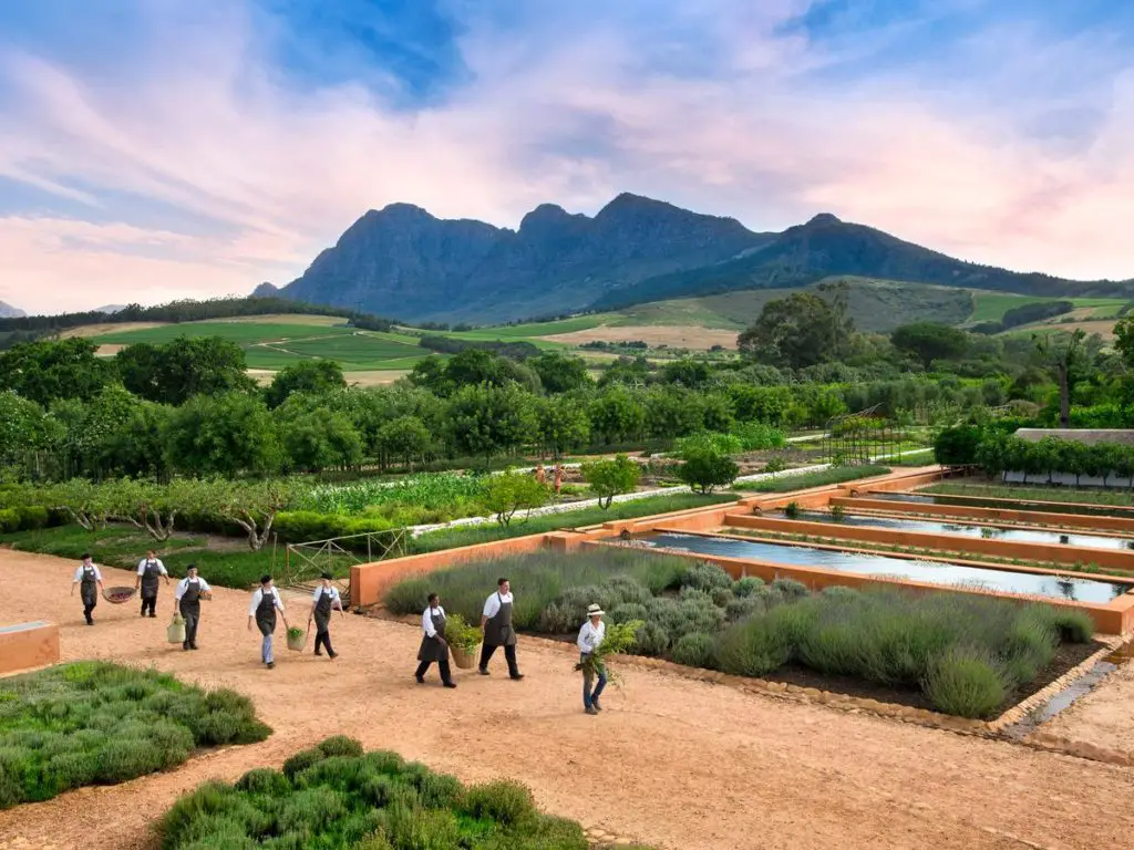 Babylonstoren: le meilleur hôtel de luxe avec piscine de la route des vins d’Afrique du Sud