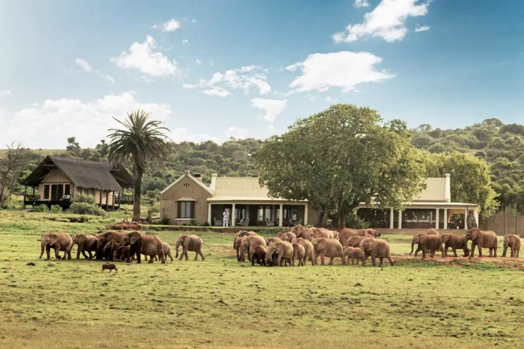 Gorah, located in a private reserve of Addo Elephant park on the Garden Route, is one of the best safari lodges in South Africa