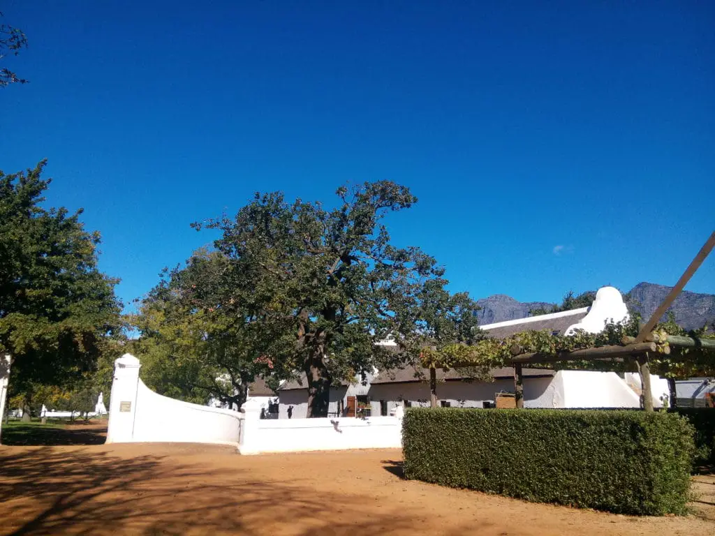 The best tour to visit the South African wine route by tram