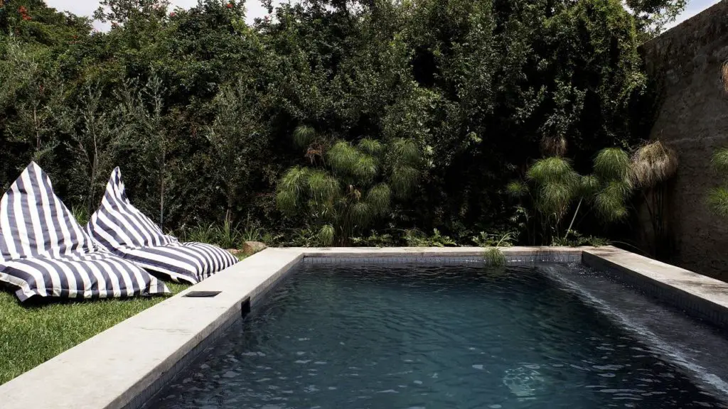 Pablo's House : la meilleure maison d’hôtes avec piscine de Johannesburg en Afrique du Sud