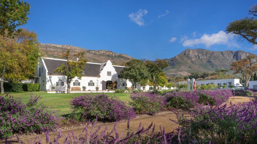 Steenberg Farm : le meilleur hôtel de luxe entre Tokai et Constantia à Cape Town en Afrique du Sud