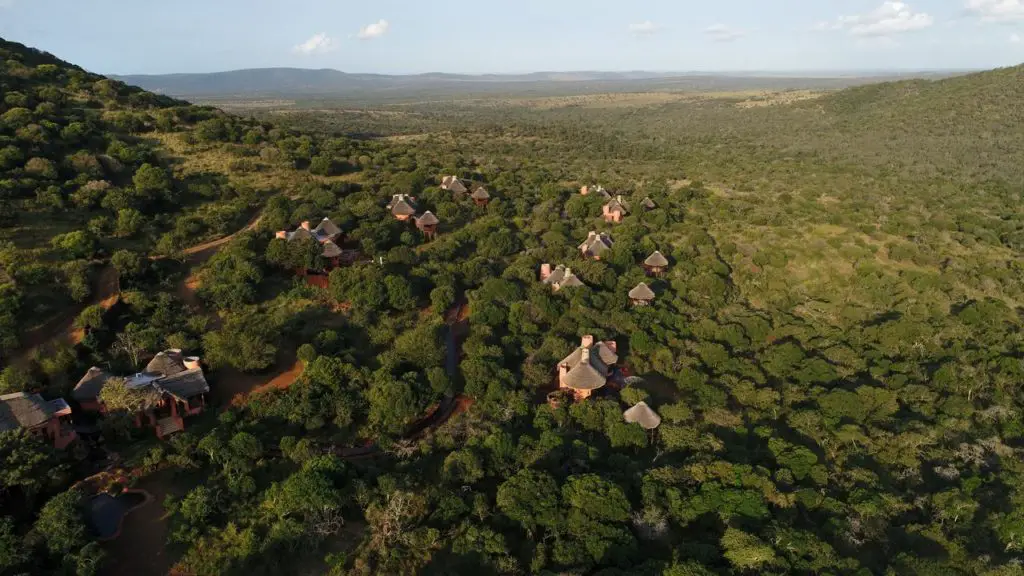 Go on a safari at Hluhluwe-Umfolozi in the private reserve of Thanda Safari Lodge in South Africa