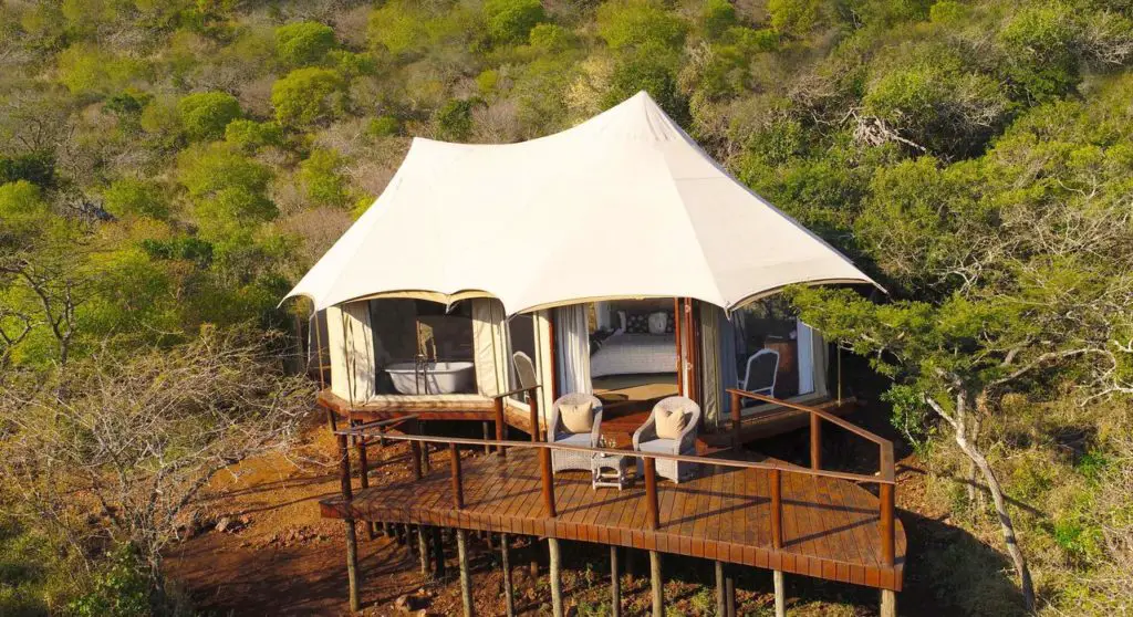 Sov i ett lyxigt safaritält vid Hluhluwe-Umfolozi i Thanda Safari Lodge privata reservat i Sydafrika