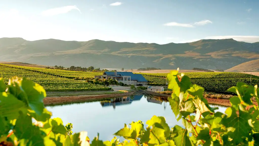 Stop on the Hermanus wine route in South Africa at Creation