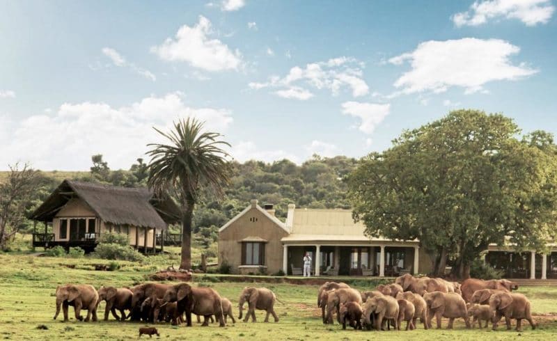 Top 4 private reserver i Sydafrika
