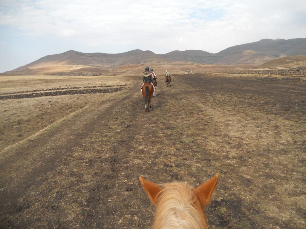 Häst ridning tack vare Semonkong lodge som erbjuder dig att besöka Lesotho som en lokal