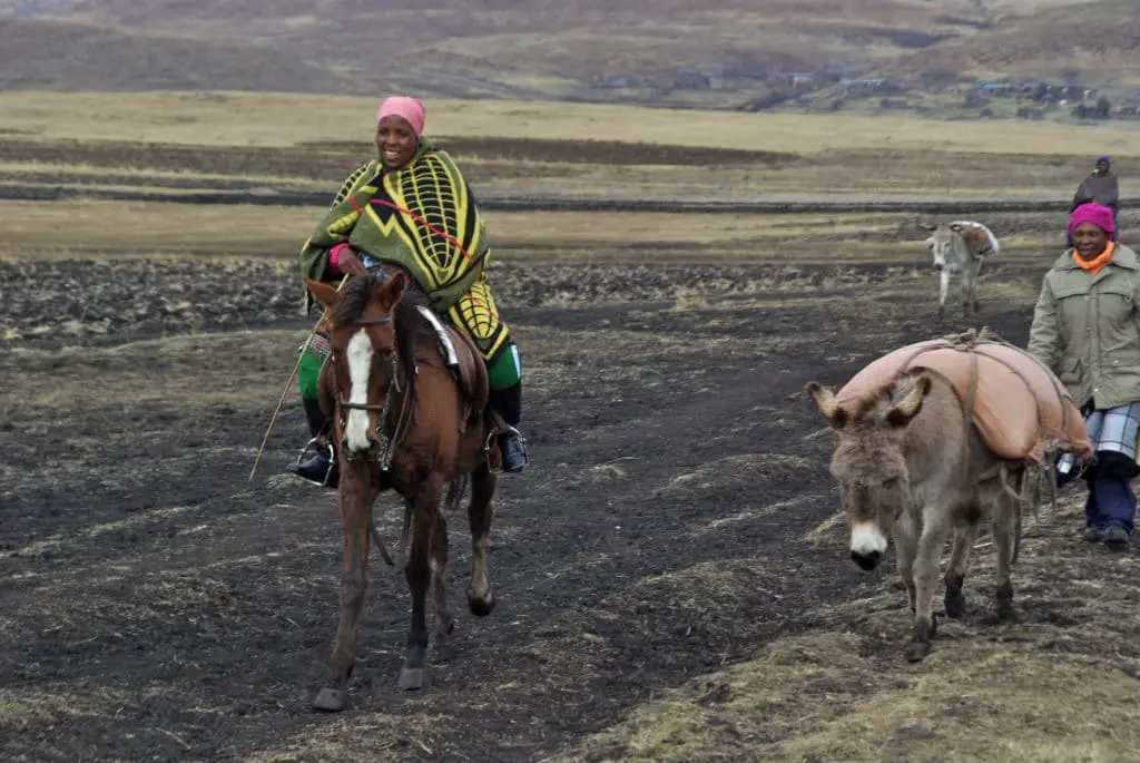 Upptäck Lesothos invånare i folkdräkt som reser med åsna eller häst under korsningen av landet på en roadtrip till Semonkong