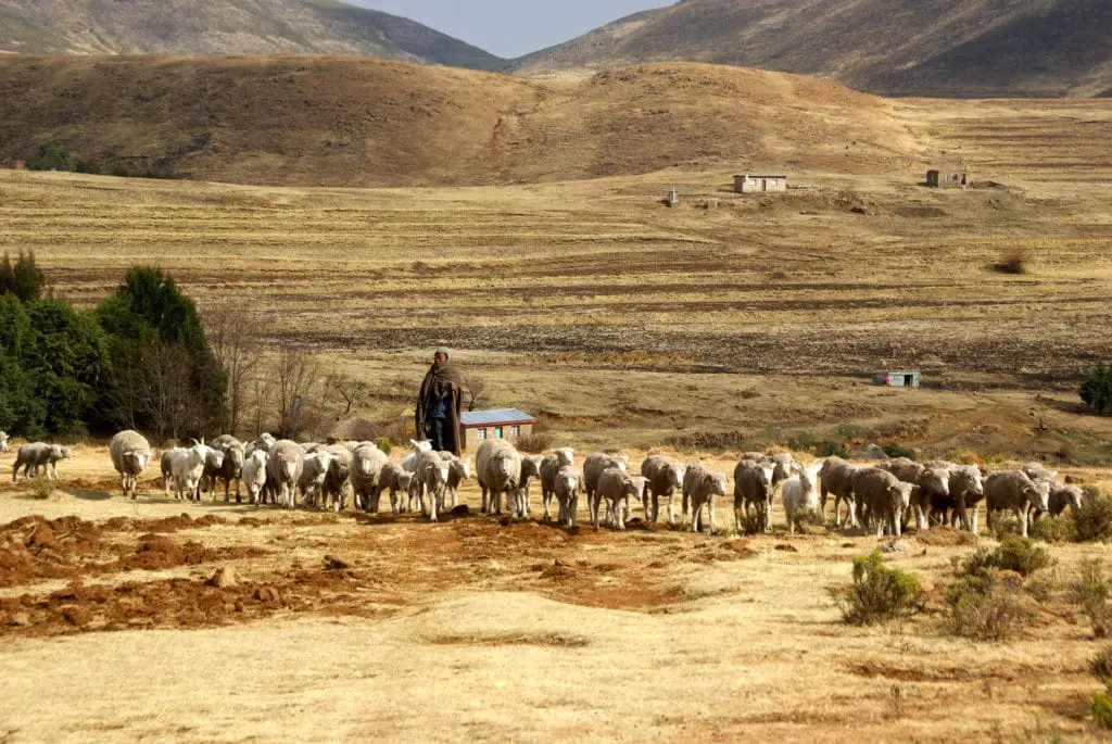 Upptäck Lesothos vackraste landskap under landsvägskorsningen till Semonkong