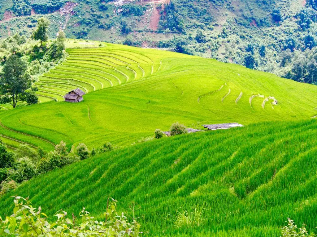 Resebloggen Itinéterre tar dig till risfälten i Sa Pa i Vietnam.
