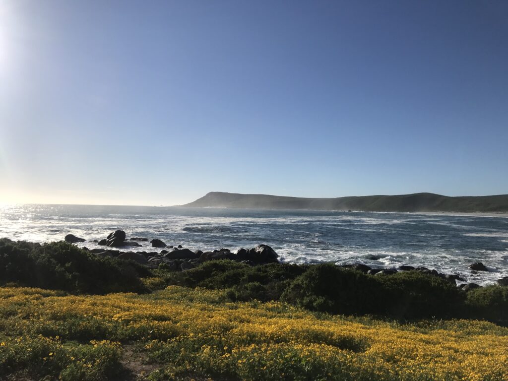 Entdecken Sie den West Coast National Park auf der besten Route, um die Blumensaison in Südafrika zu genießen. Dieser Rundkurs führt Sie zu den schönsten Parks.