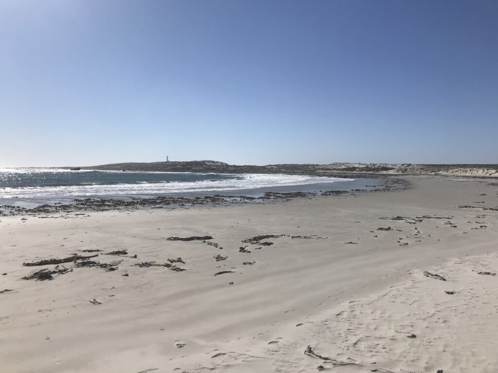 Discover HondeklipBaai Beach in the best route to enjoy the flower season in South Africa. This circuit takes you to the most beautiful parks.